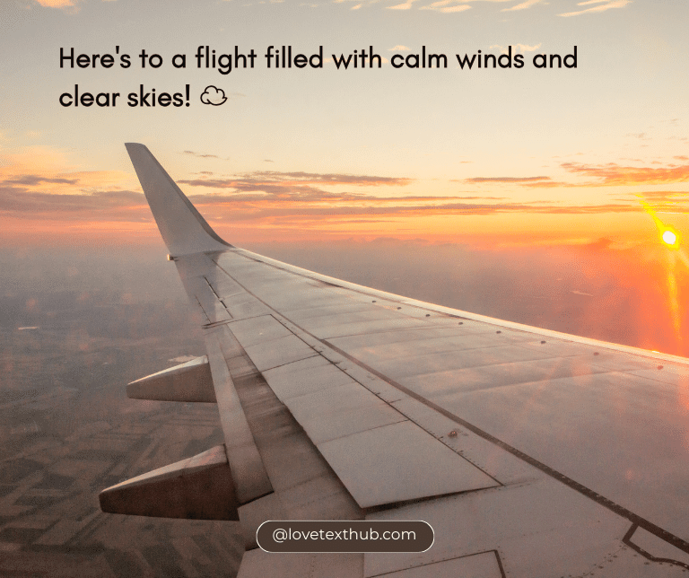 Wishing you a safe flight! Here are 101 quotes to send to the people you care about.