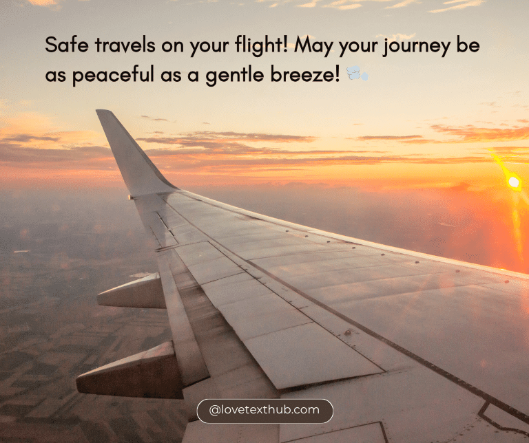 Wishing you a safe flight! Here are 101 quotes to send to the people you care about.